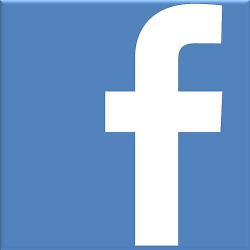 Facebook logo white small